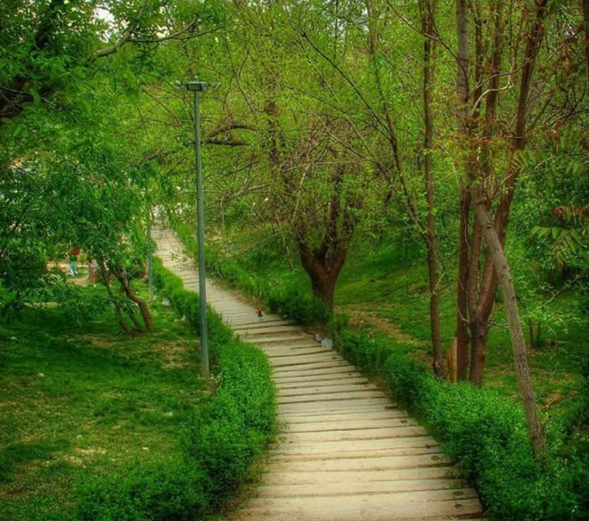منتزه طالقاني