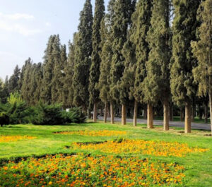 حديقة الجنة في شيراز