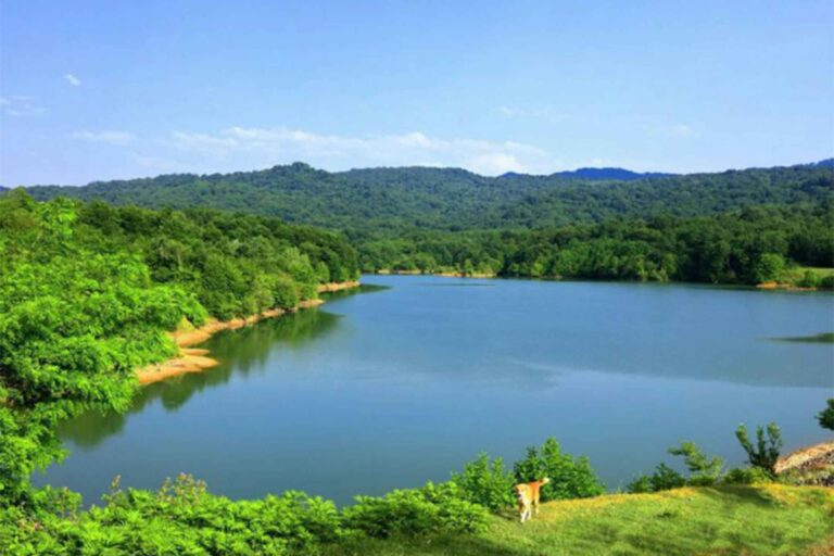 بحيرة غول بل شاهي (بالفارسية: دریاچه گل پل شاهی)، المعروفة باسمها السابق : قائمشهر.