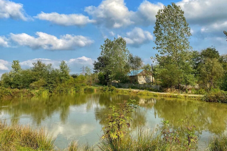 بالقرب من مدينة رشت وفي قرية فشتام ، هناك حوض مائي جميل وسياحي، هذا الحوض المائي مغطى بالنباتات المائية وخاصة الزنبق المائي.