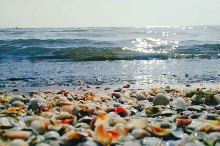 يعد شاطئ صدف أستارا الجميل أحد أنظف المناطق الساحلية في بحر قزوين