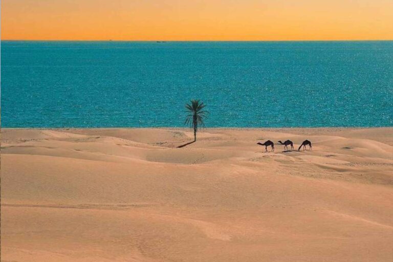 شاطئ "درك"-سيستان و بلوجستان