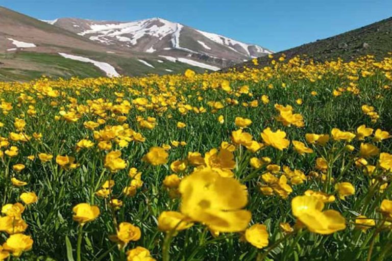جبل سهند في أذربيجان شرقي (بالفارسية: كوه سهند آذربايجان شرقي)